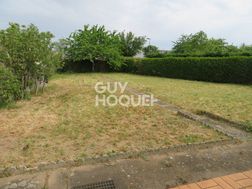 Photo n°5