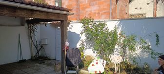 Photo n°8