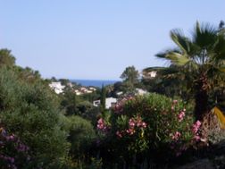 Photo n°1