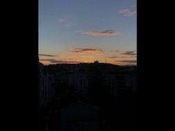 Photo n°8