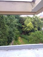 Photo n°6