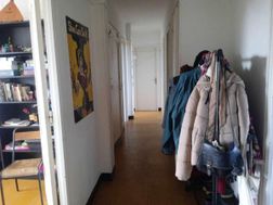 Photo n°7