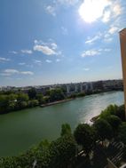 Photo n°5