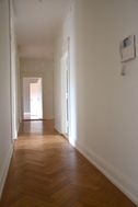 Photo n°6