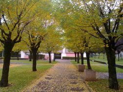 Photo n°1
