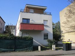 Photo n°8