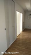 Photo n°5