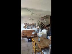 Photo n°7