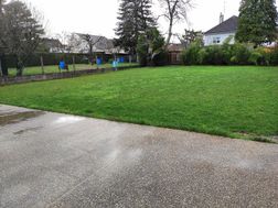 Photo n°6