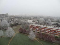 Photo n°1