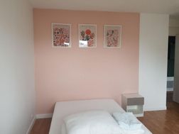 Photo n°3