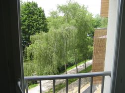Photo n°1