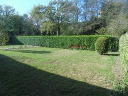 Photo n°1