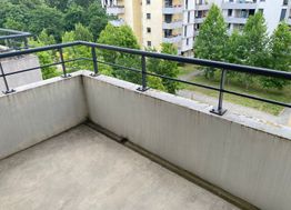 Photo n°1