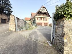 Photo n°4