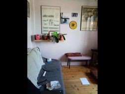 Photo n°4