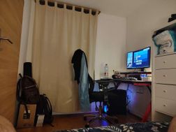 Photo n°14