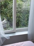 Photo n°6