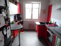 Photo n°4