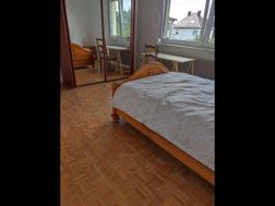 Photo n°4