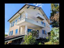 Photo n°15