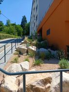 Photo n°1