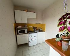 Photo n°2