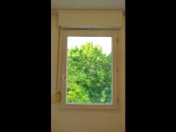 Photo n°2