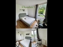 Photo n°3