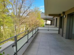 Photo n°2