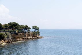 Photo n°3