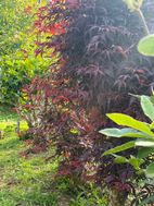 Photo n°3