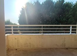 Photo n°6
