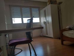 Photo n°3