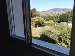 Photo n°3
