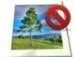 Photo n°3