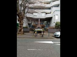 Photo n°1