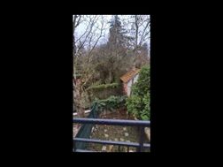 Photo n°7