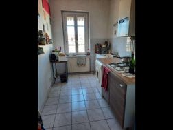 Photo n°5