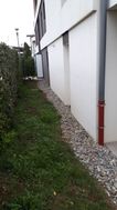 Photo n°8