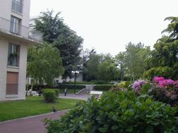 Photo n°6