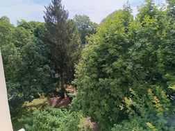 Photo n°6