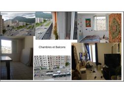 Photo n°1