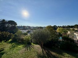 Photo n°6