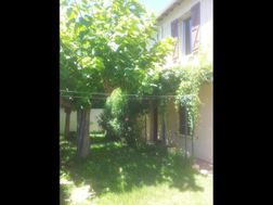 Photo n°1