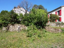 Photo n°4