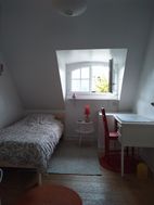 Photo n°1