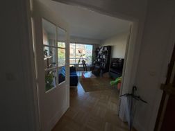 Photo n°4