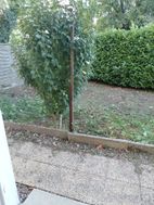 Photo n°6