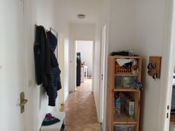 Photo n°3